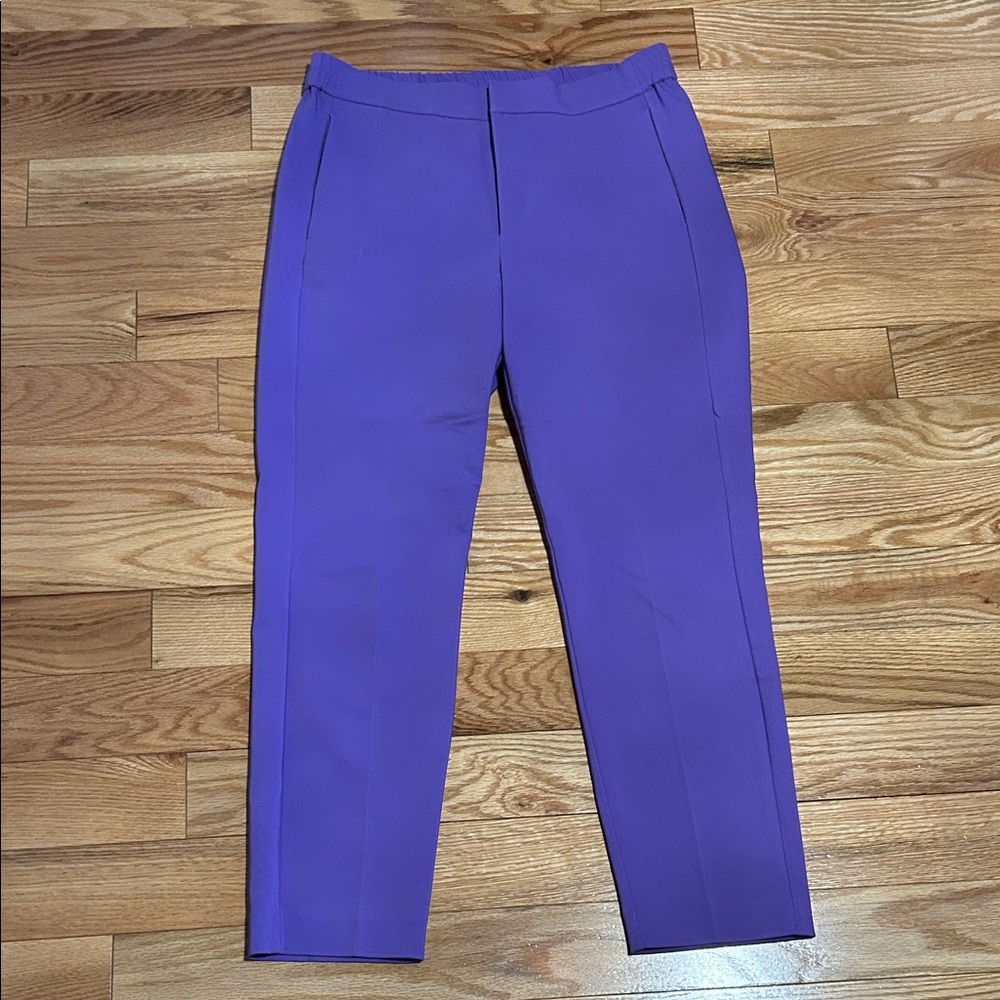Vibrant Purple Women's Pants